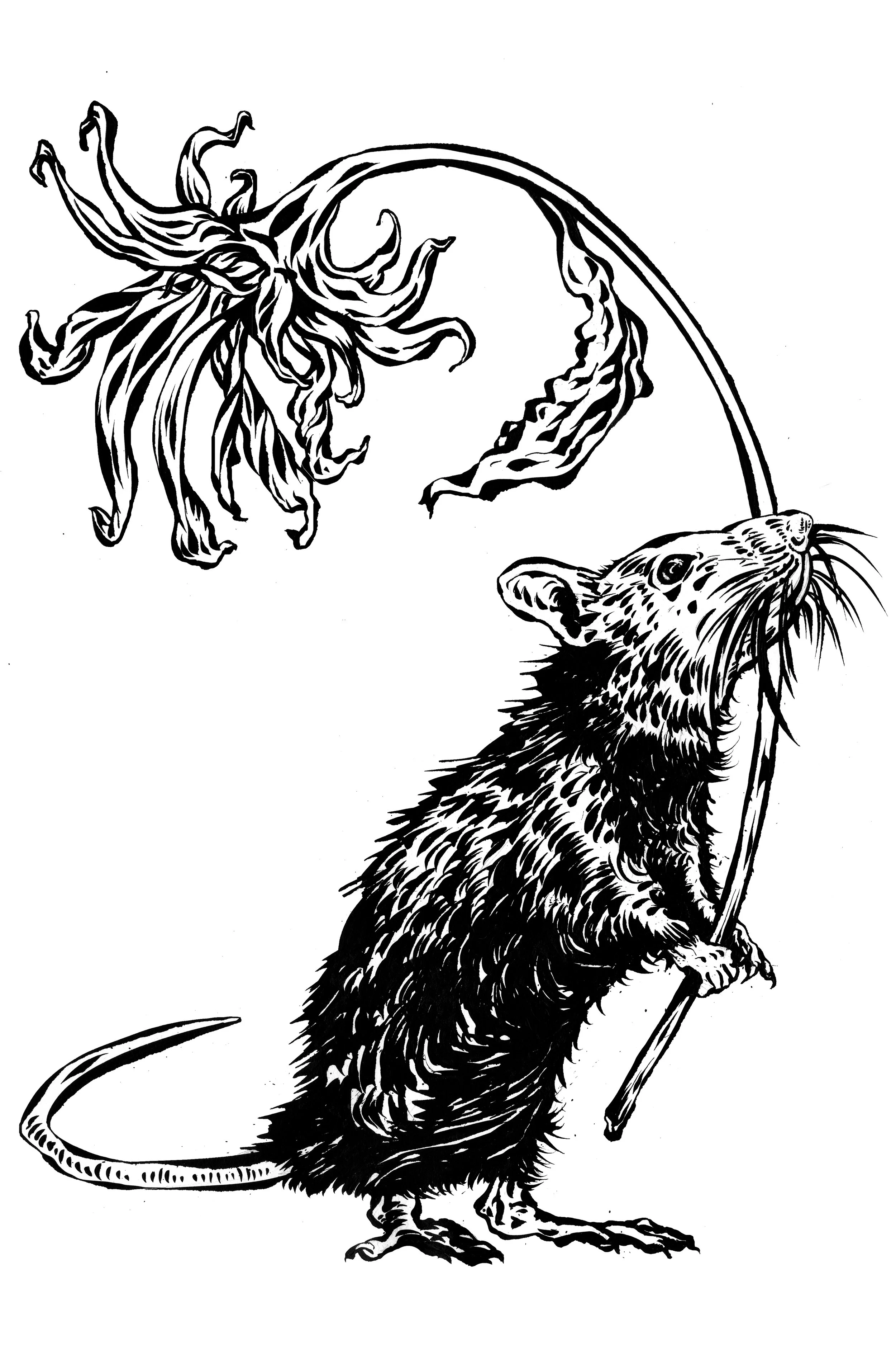 Rat with Flower #2