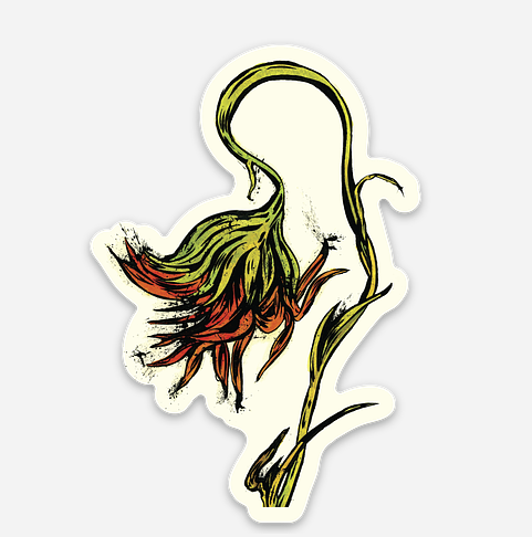 Screen Shot 2026-02-16 at 8.48.21 PM.png