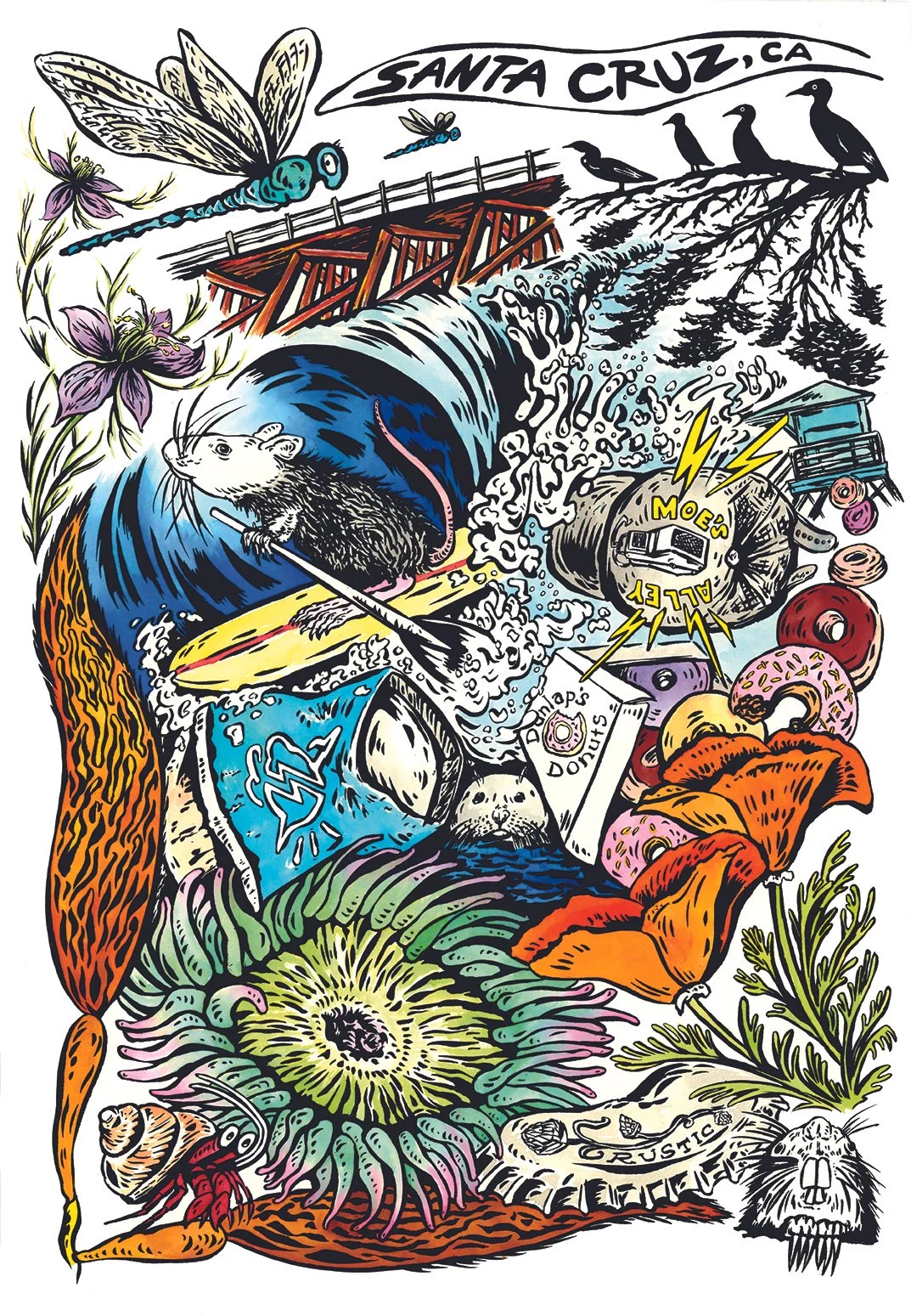02_SantaCruz_II_JustinFrancavilla copy.jpg