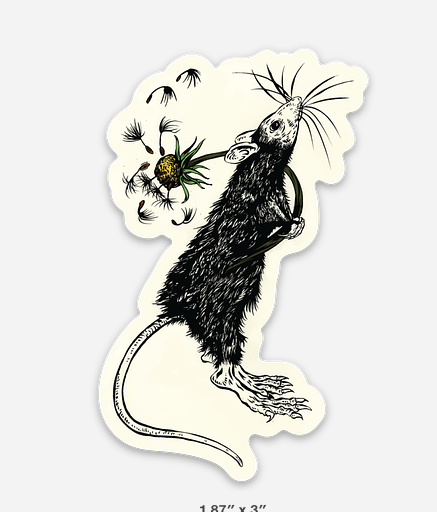 Screen Shot 2026-02-16 at 8.47.45 PM.png