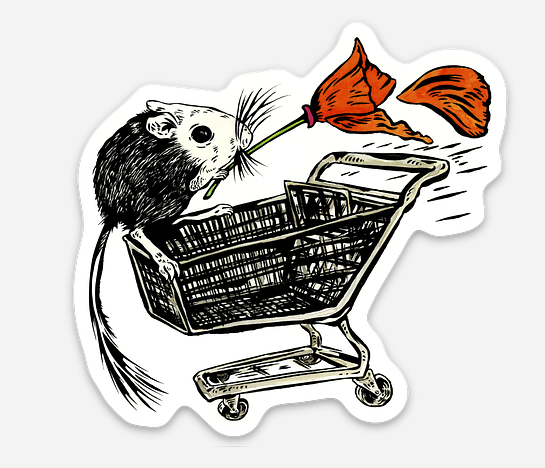 Screen Shot 2026-02-16 at 8.49.40 PM.png