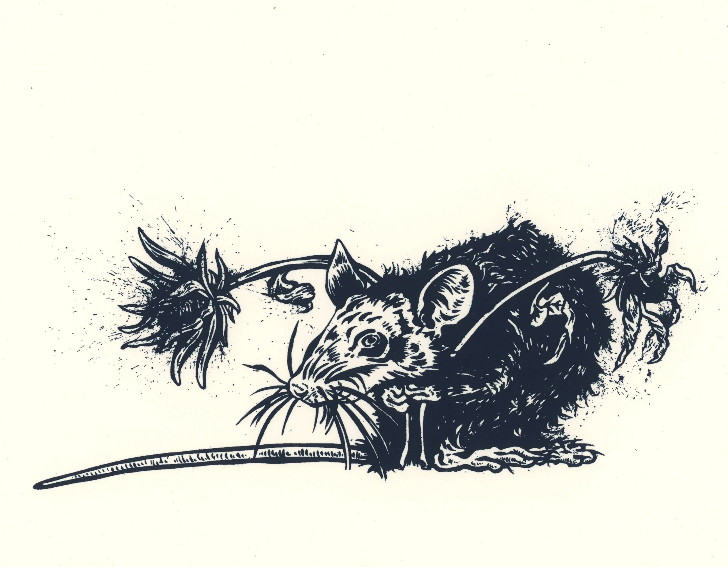 rat3_silk_JustinFrancavilla copy.jpg