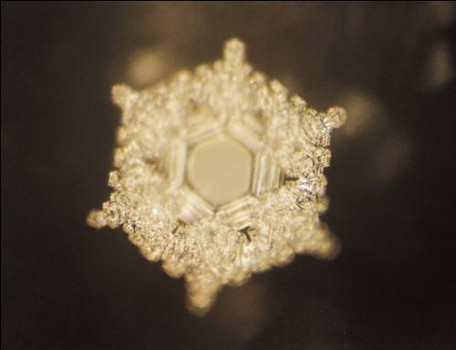  Water crystal formed after water was exposed to the words LOVE AND GRATITUDE.&nbsp;(http://www.masaru-emoto.net/english/water-crystal.html) 