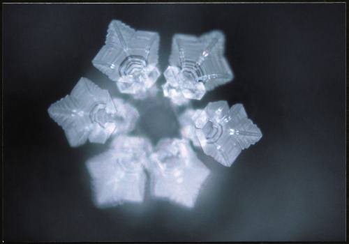  Water crystal formed after water was exposed to the song IMAGINE by John Lennon.&nbsp;(http://www.masaru-emoto.net/english/water-crystal.html) 