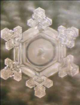  Water crystal formed after water was exposed to the words "THANK YOU."&nbsp;(http://www.masaru-emoto.net/english/water-crystal.html) 