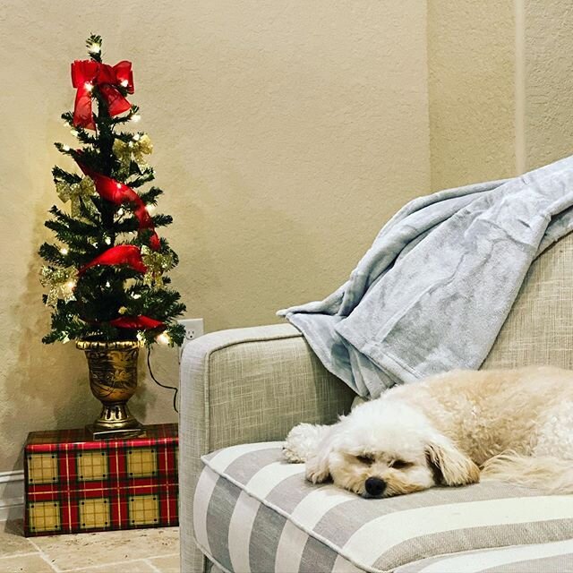 Regardless of how big the tree is&hellip; I&rsquo;m celebrating Jesus&lsquo;s birth but remembering WHY he came here and WHAT he endured for us all. He entered an evil world to save us from our own sin and give us eternity with him! What GRACE! What 