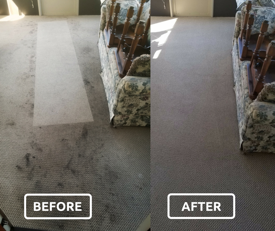 affordable cleaners before and after.png