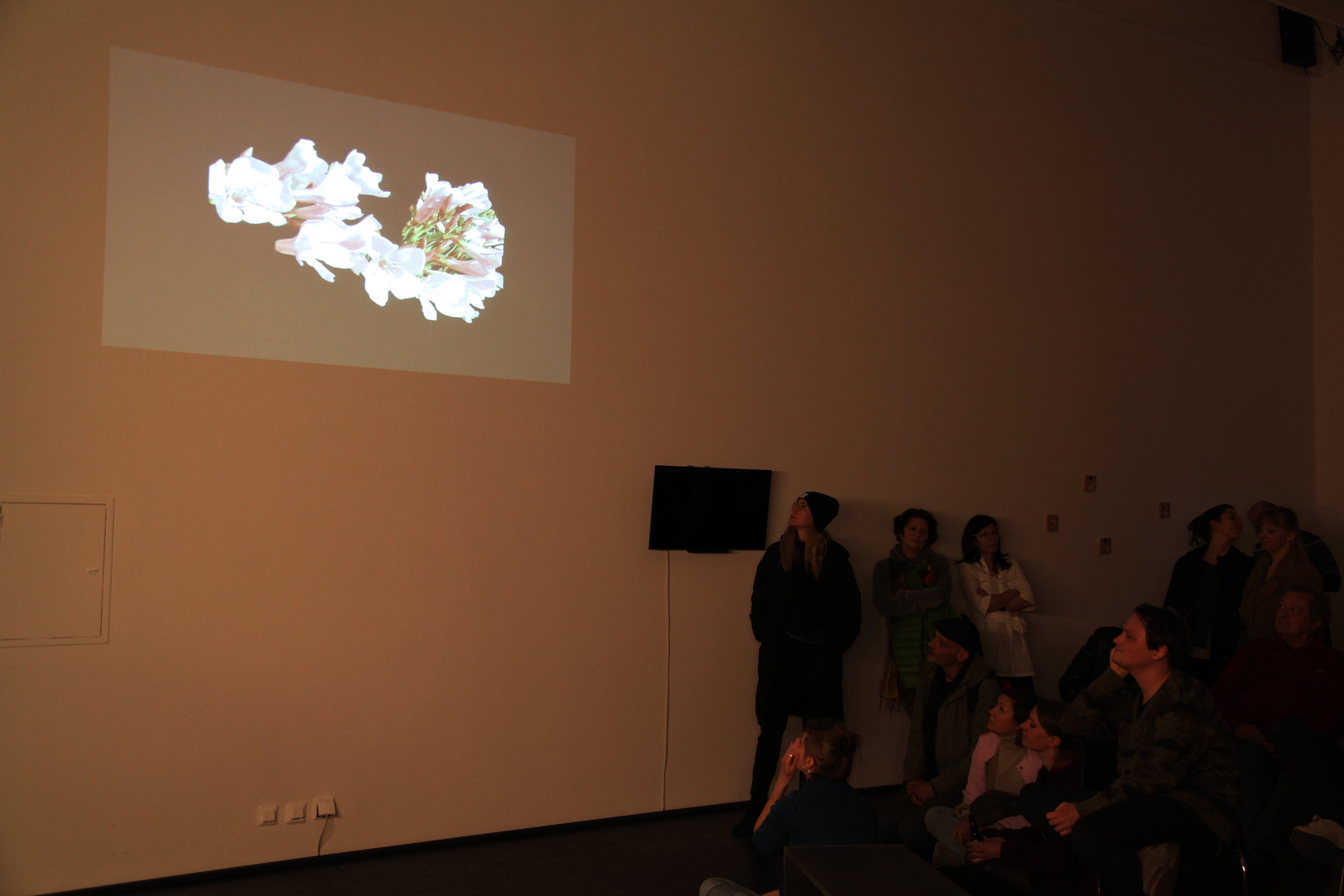  Audiovisual by Ashkan Sepahvand,The oleander the same  Photo: Jacopo Miliani 