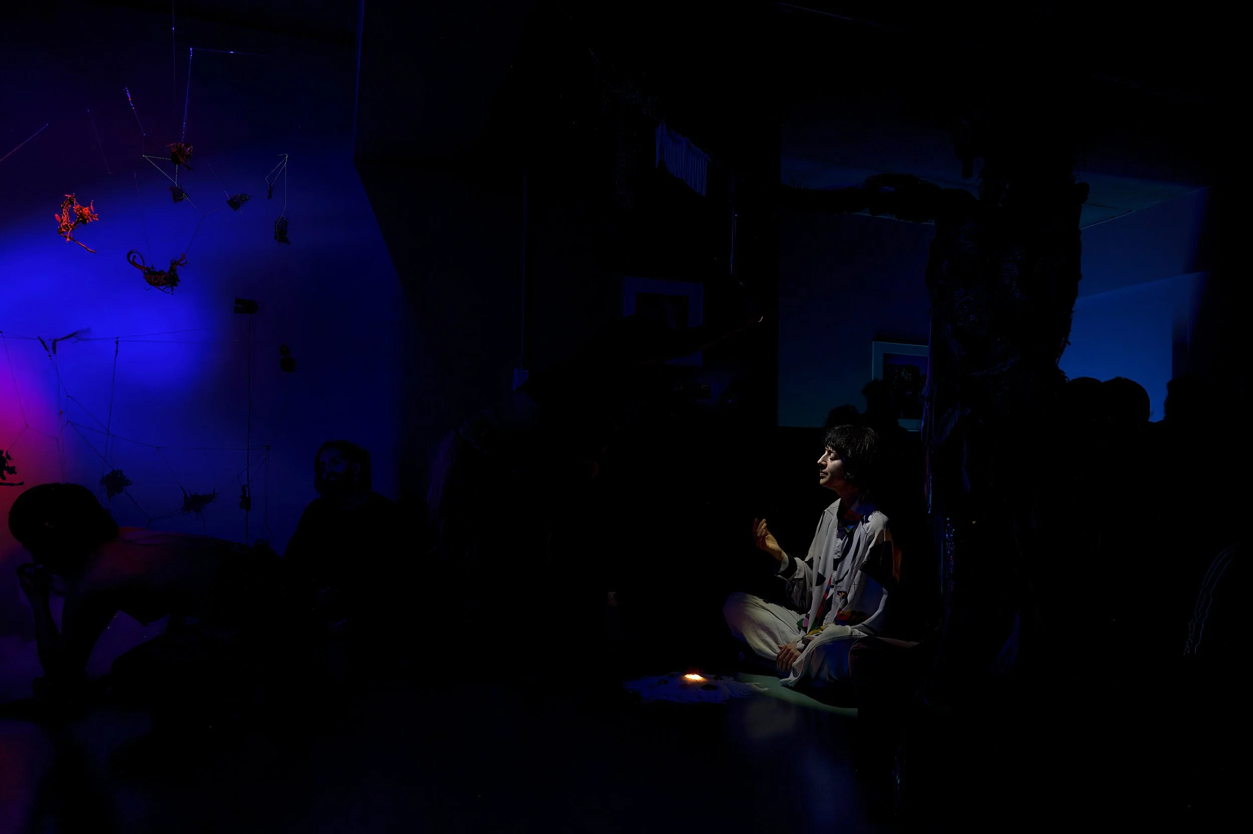 new animals_28 nov_067.jpg