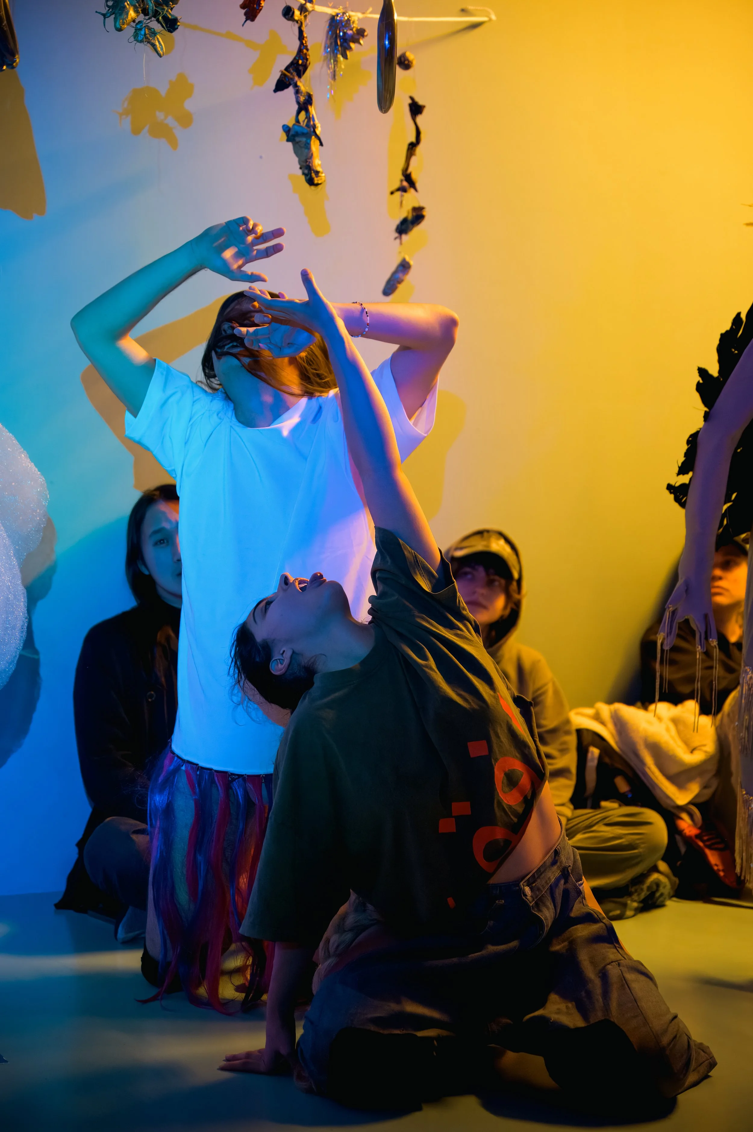 new animals_28 nov_025.jpg