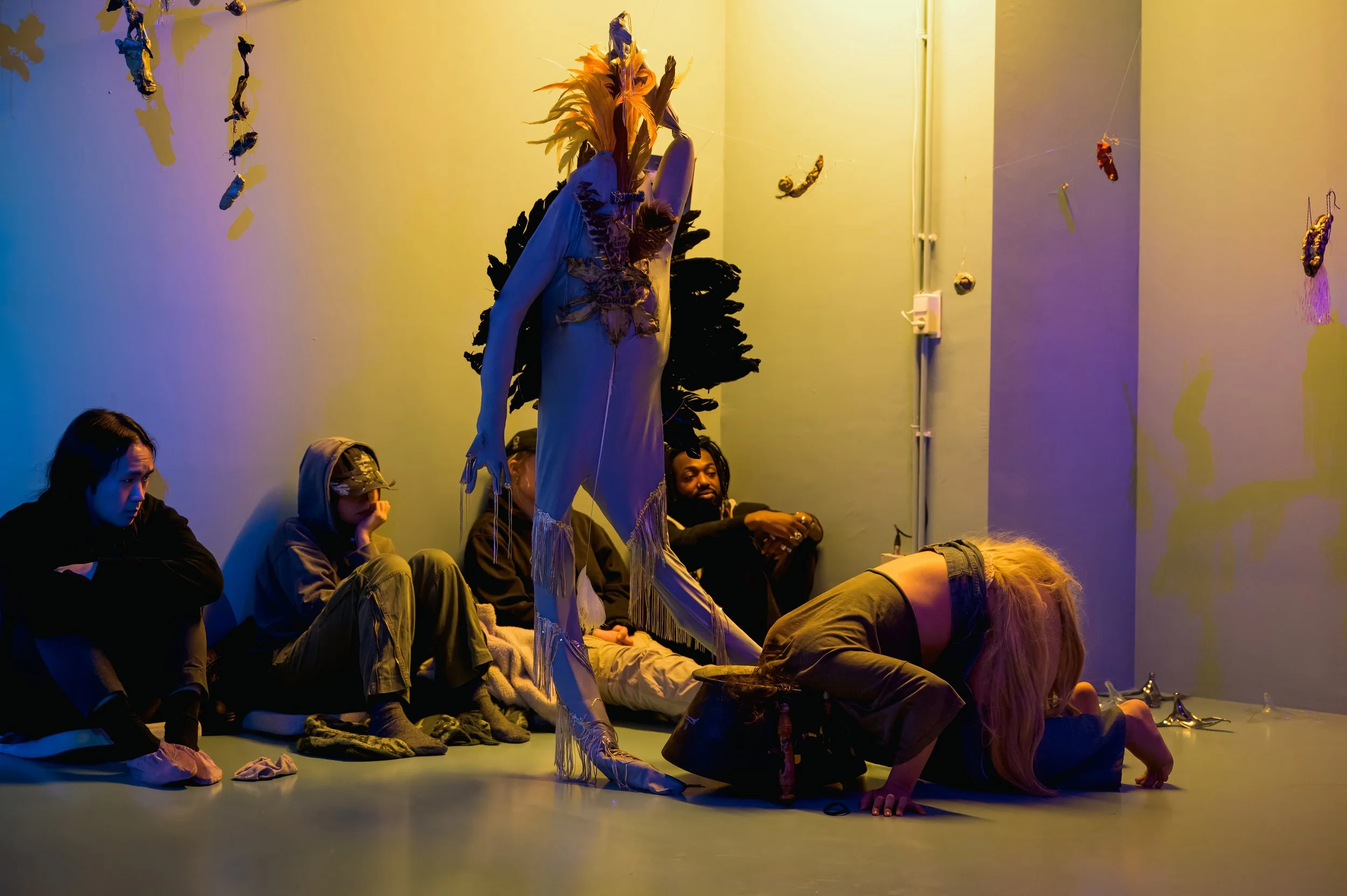 new animals_28 nov_036.jpg