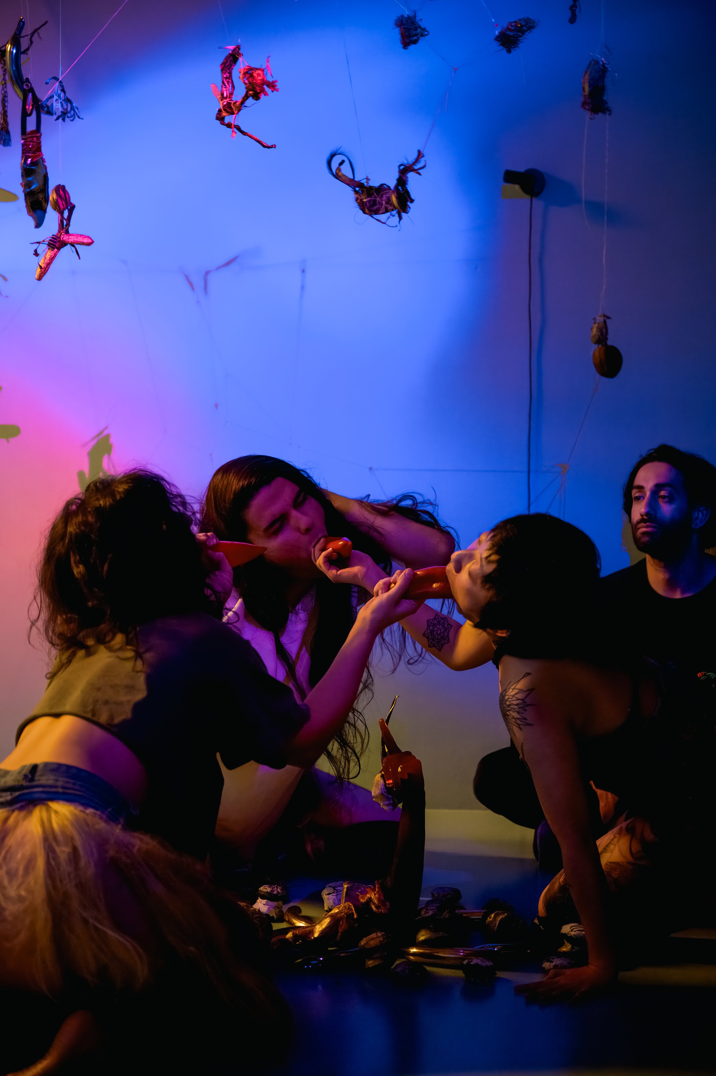 new animals_28 nov_033.jpg