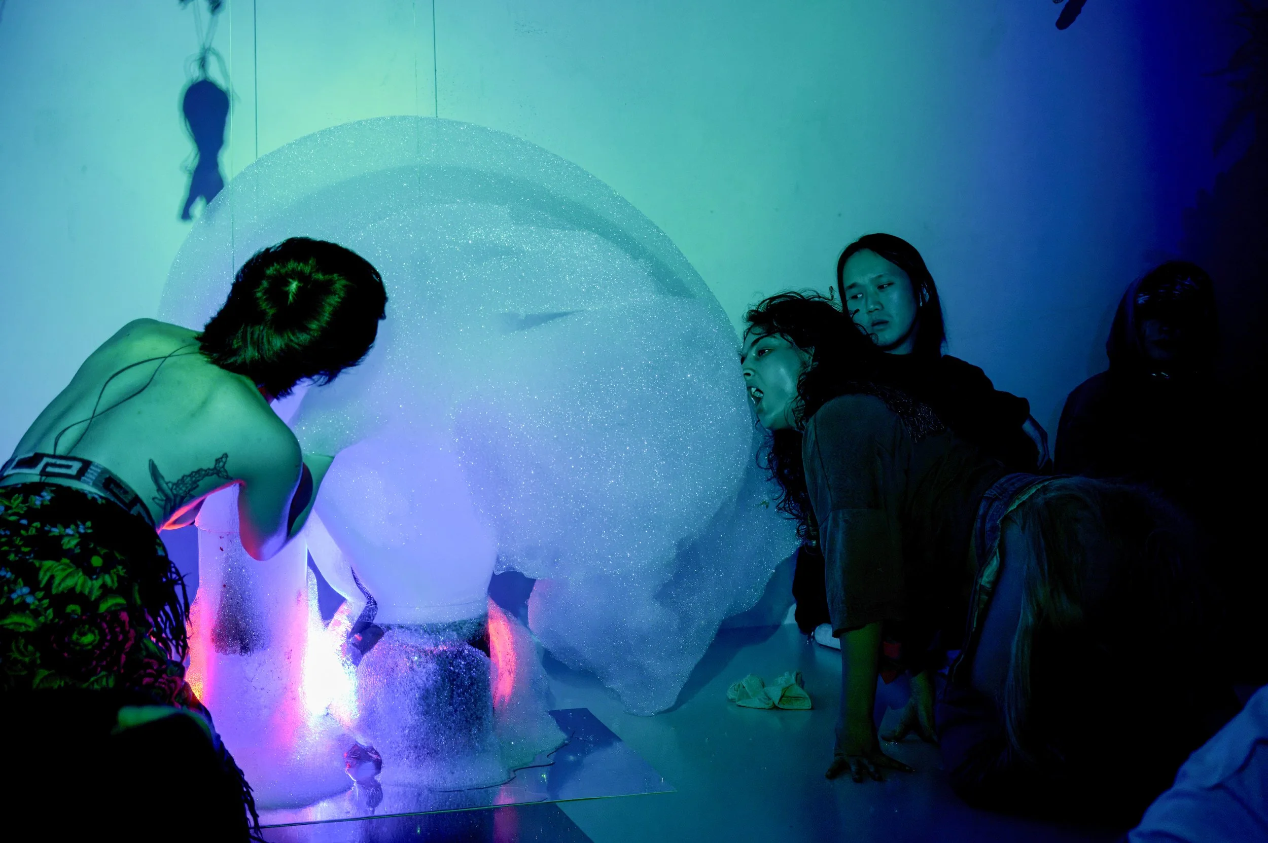 new animals_28 nov_045.jpg