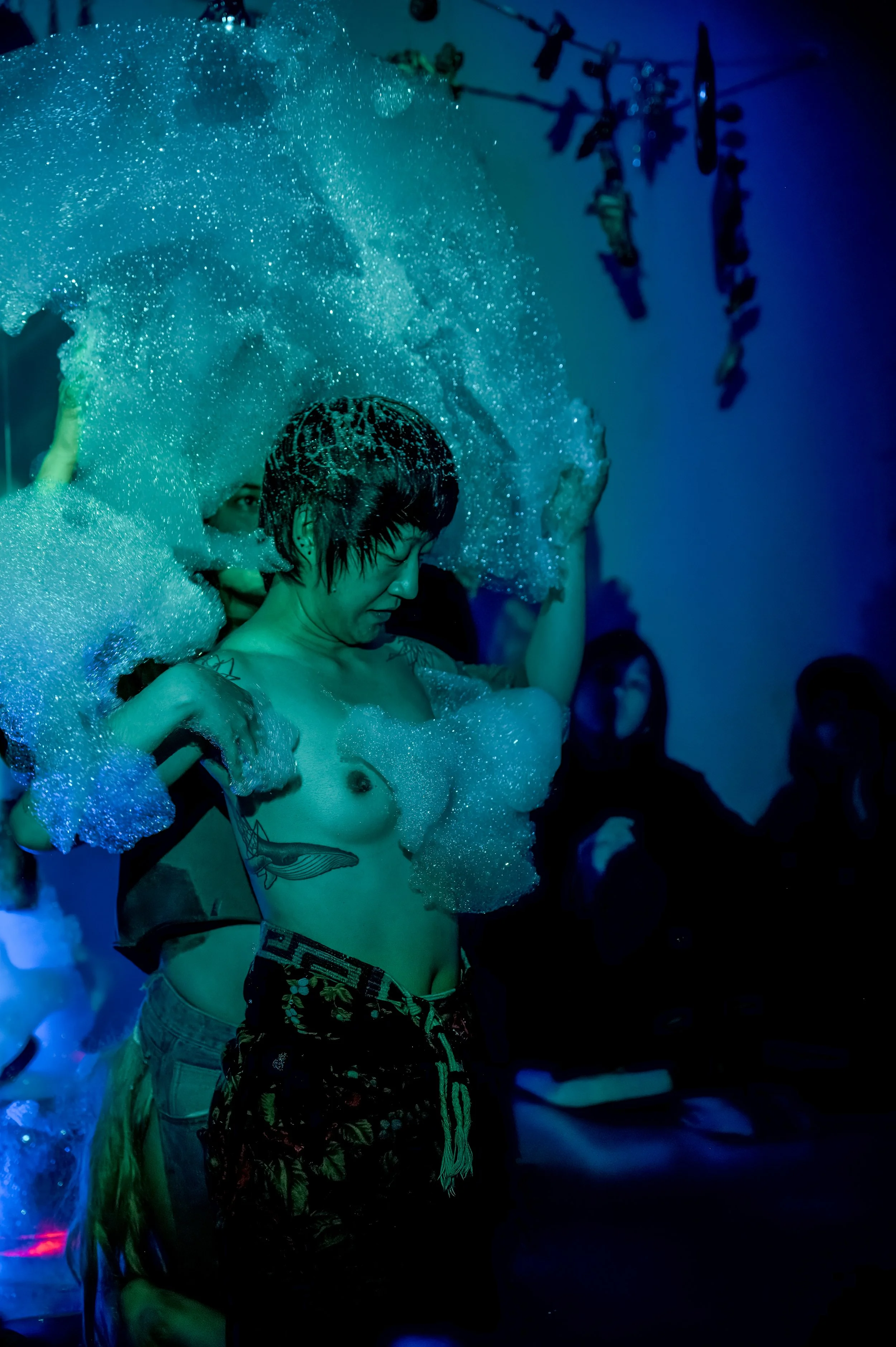 new animals_28 nov_051.jpg