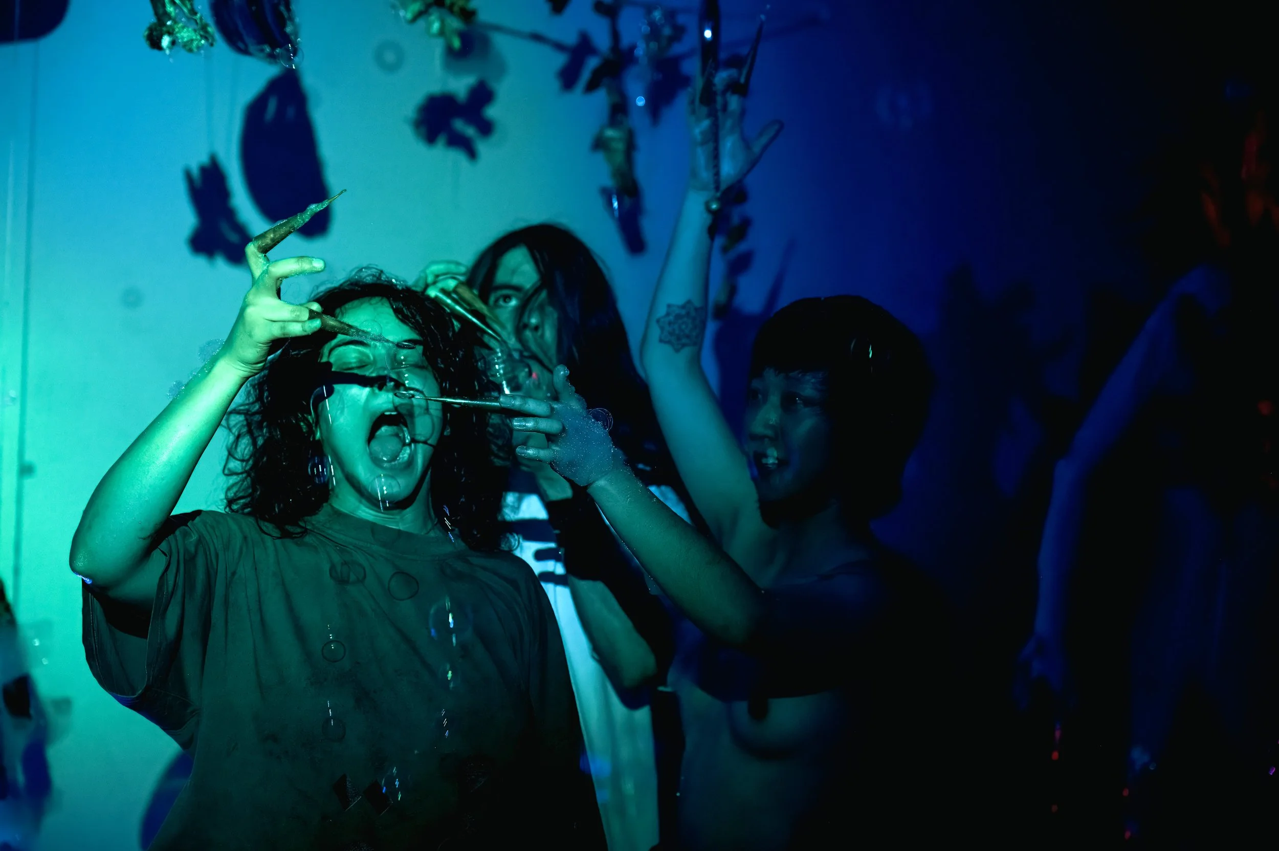 new animals_28 nov_059.jpg