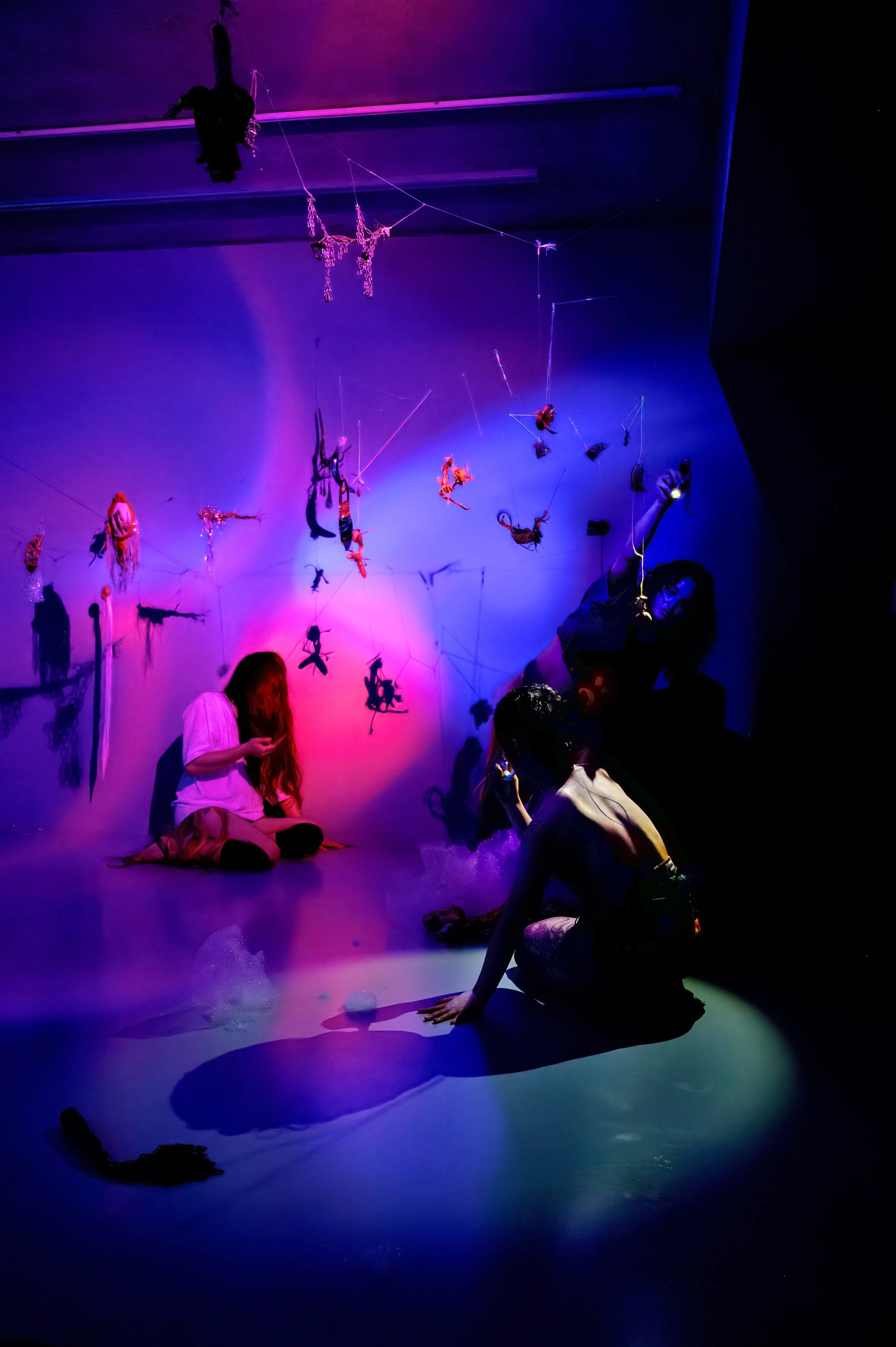 new animals_28 nov_066.jpg