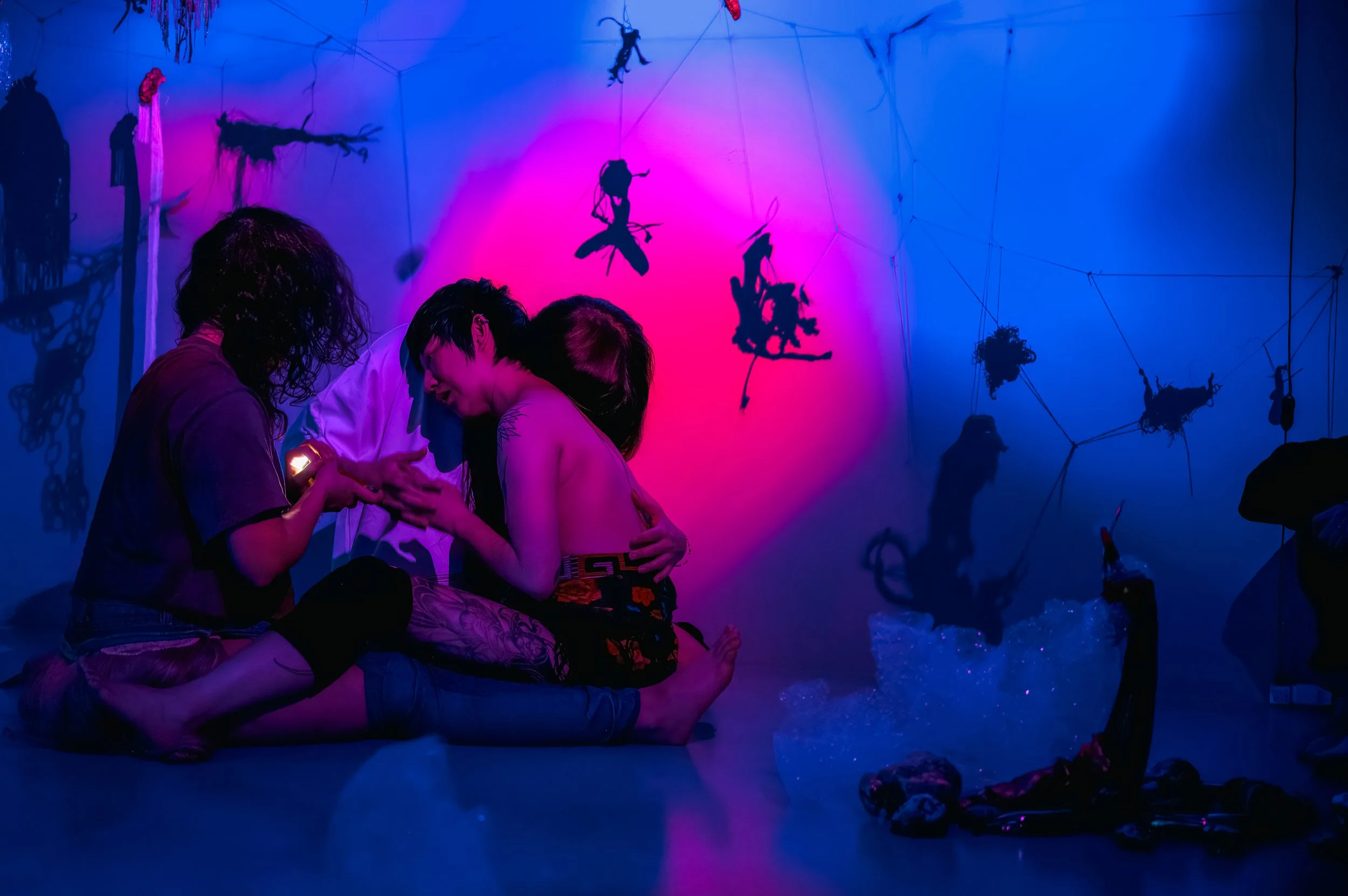 new animals_28 nov_068.jpg