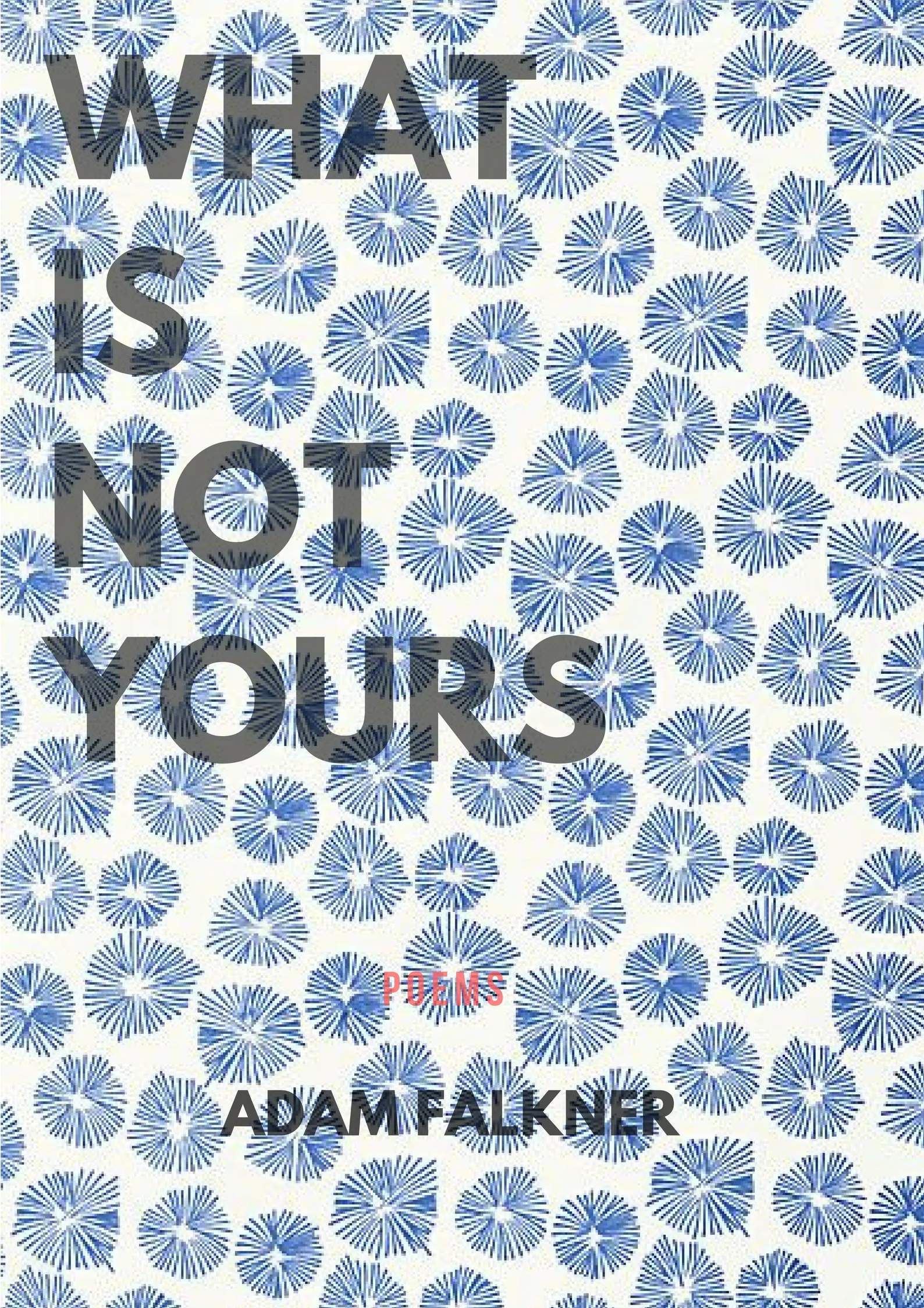 WHAT Is NOT  YOURS.jpg