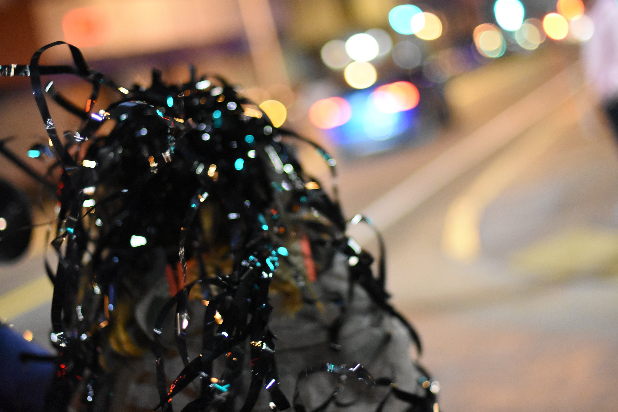 DSC_0797.JPG