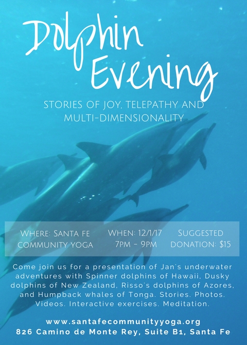Dolphin Evening: Stories of Joy, Telepathy and Multi-dimensionality