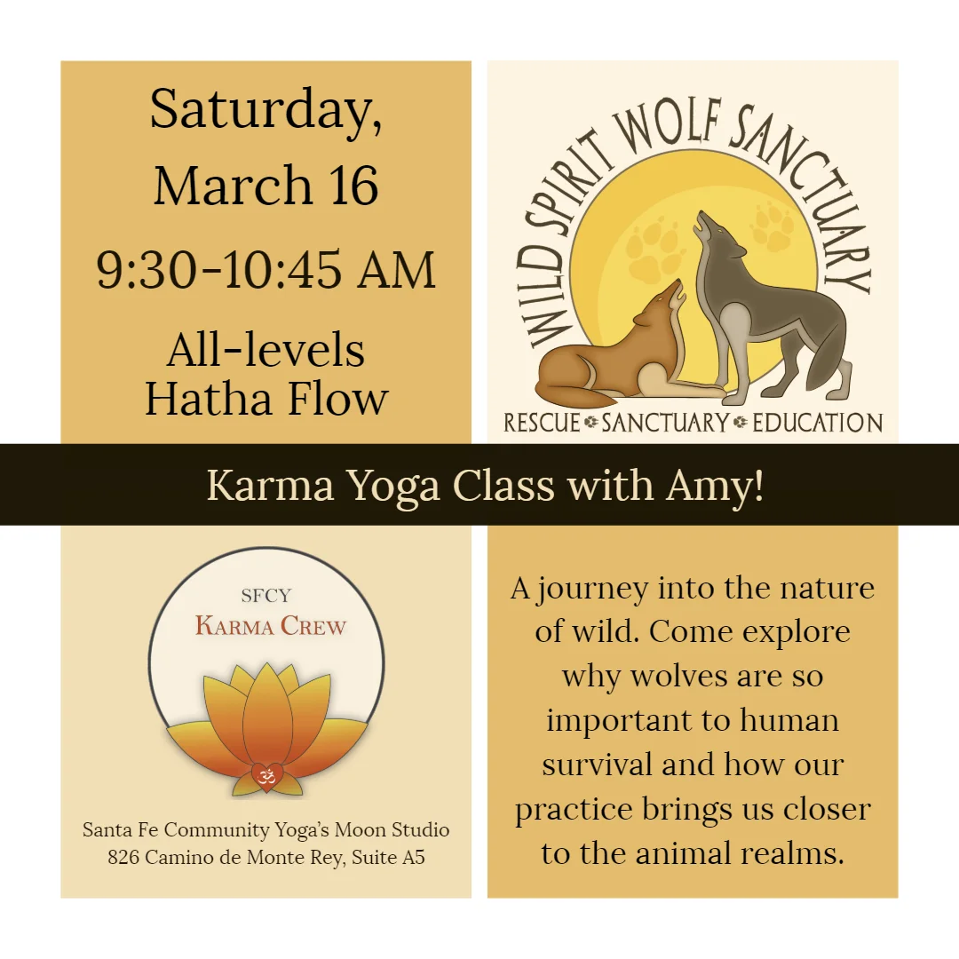 Karma Yoga Class with Amy