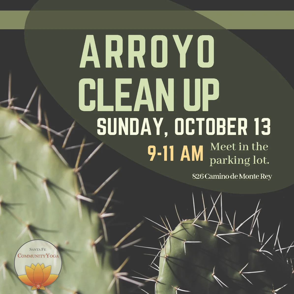 Arroyo Cleanup!