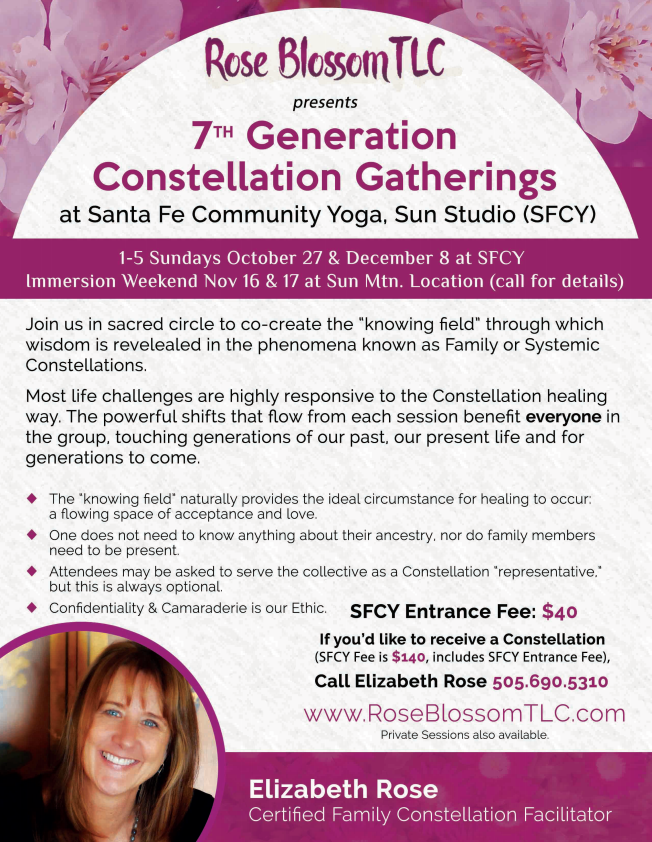 Family Constellation Gathering