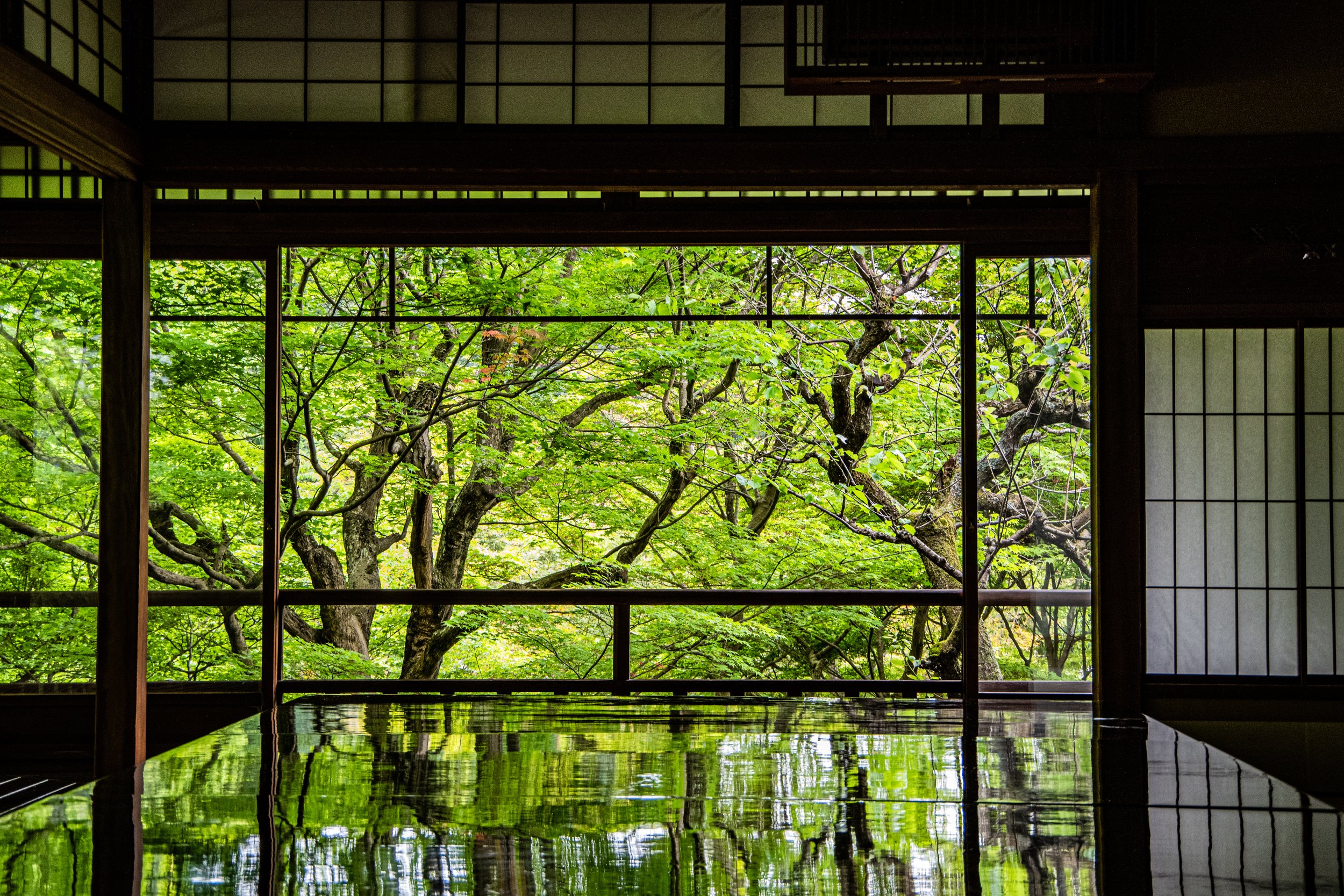 How Japan’s Changing Seasons Shape the Way We Live