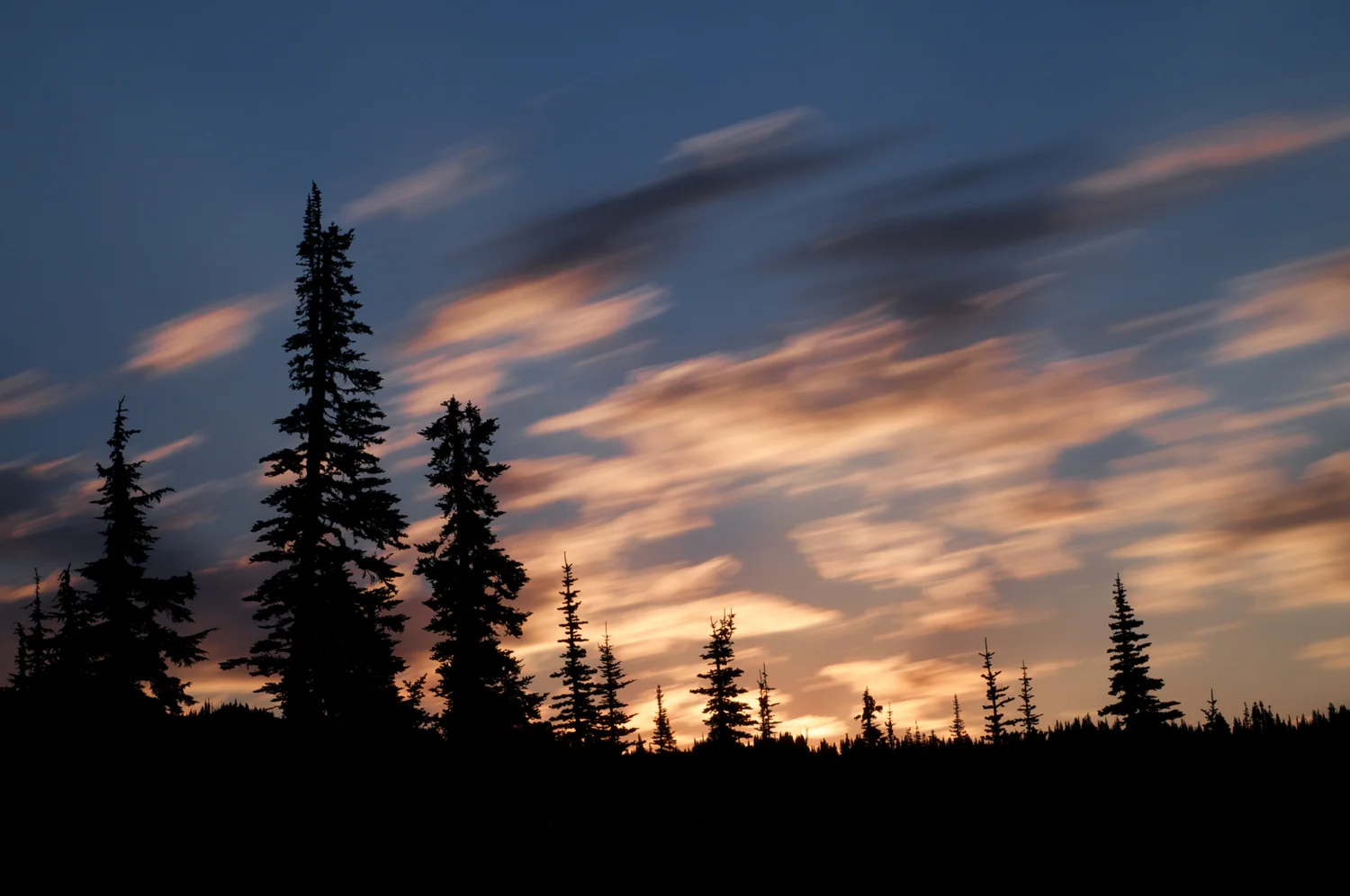AJO_2014_Rainier-90.jpg