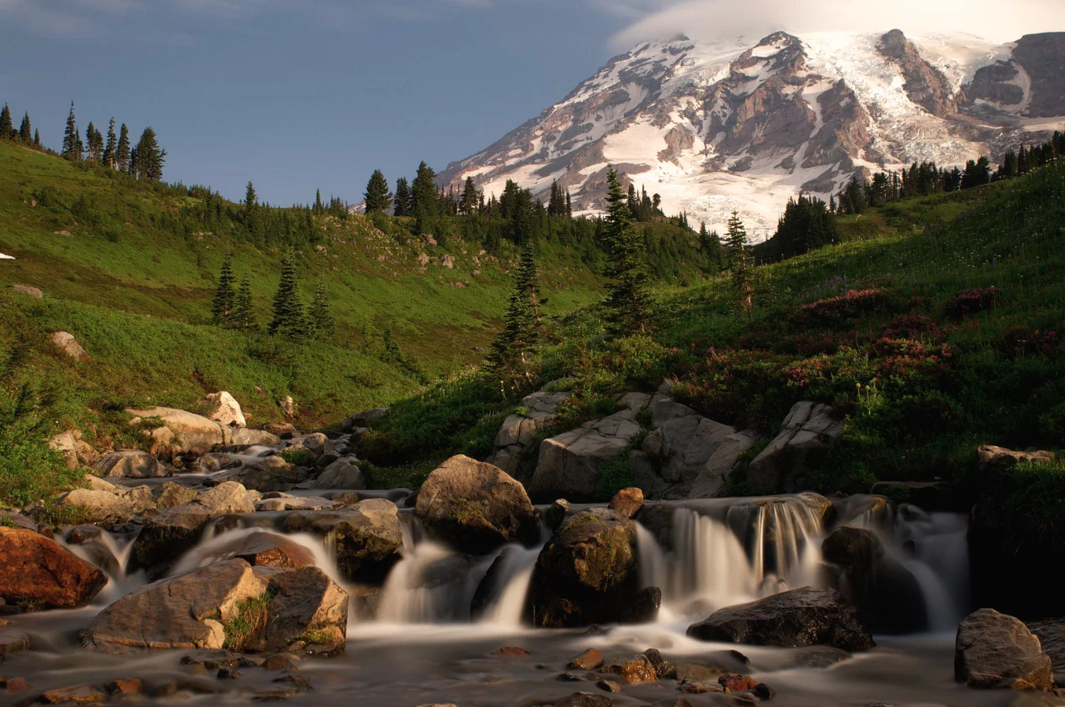 AJO_2014_Rainier-96.jpg