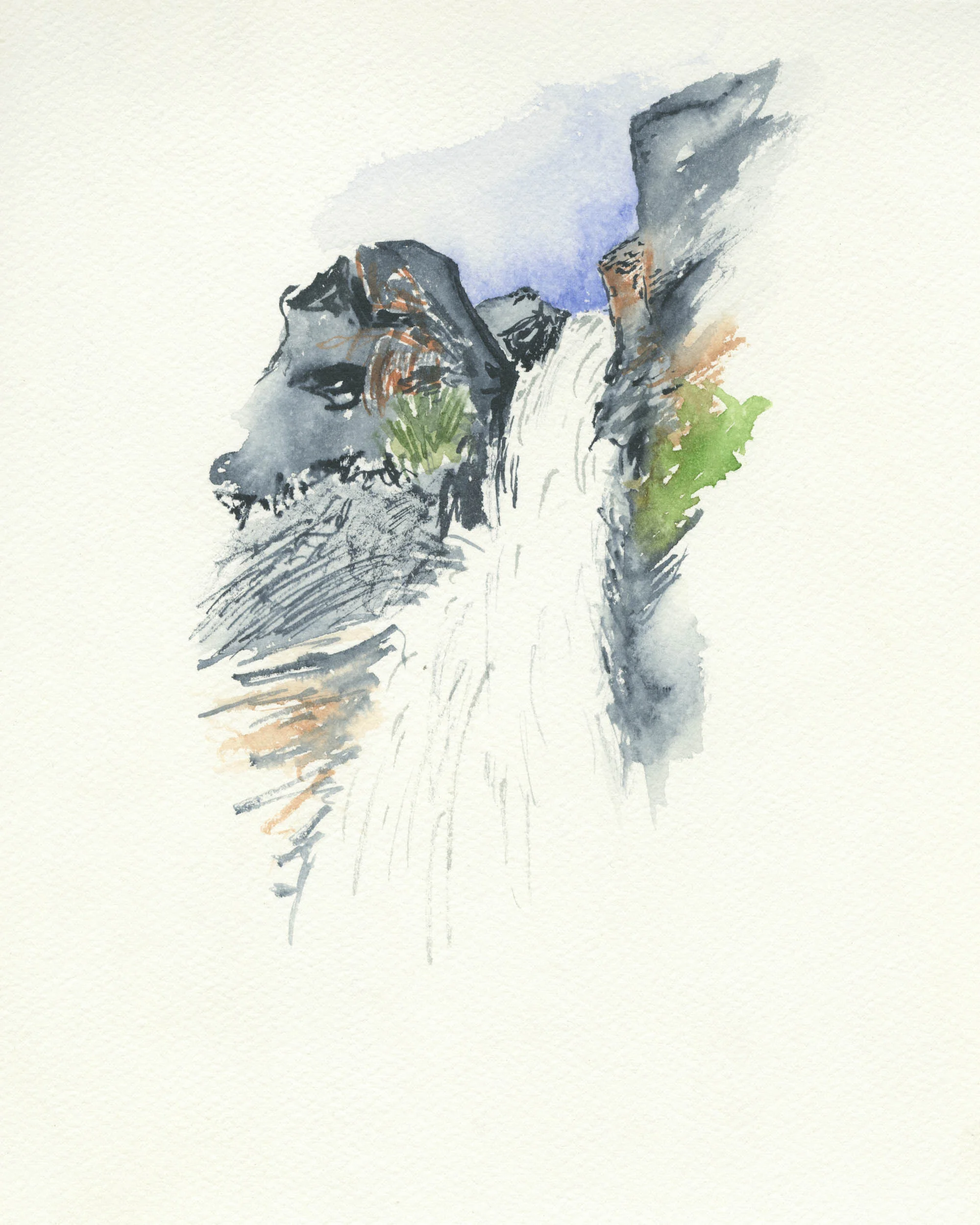 AJO_SPsketches-11.jpg