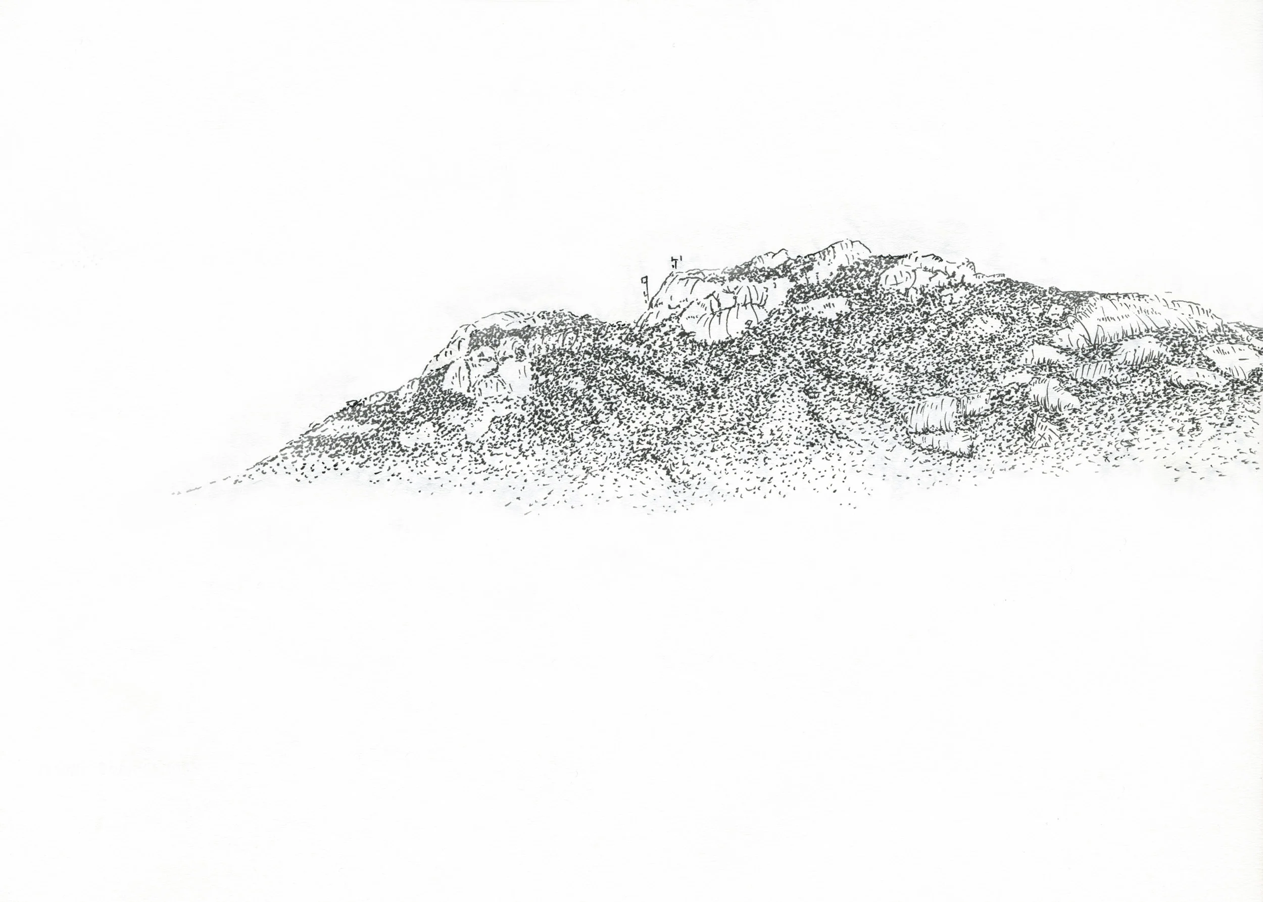 AJO_SPsketches-3-Edit.jpg