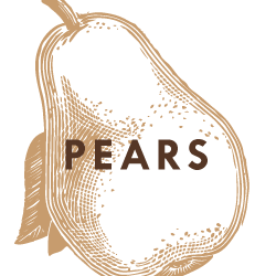 Bear Mountain Orchards Pears