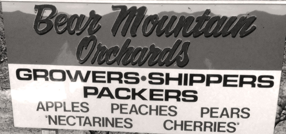 Original Bear Mountain Orchards Signage