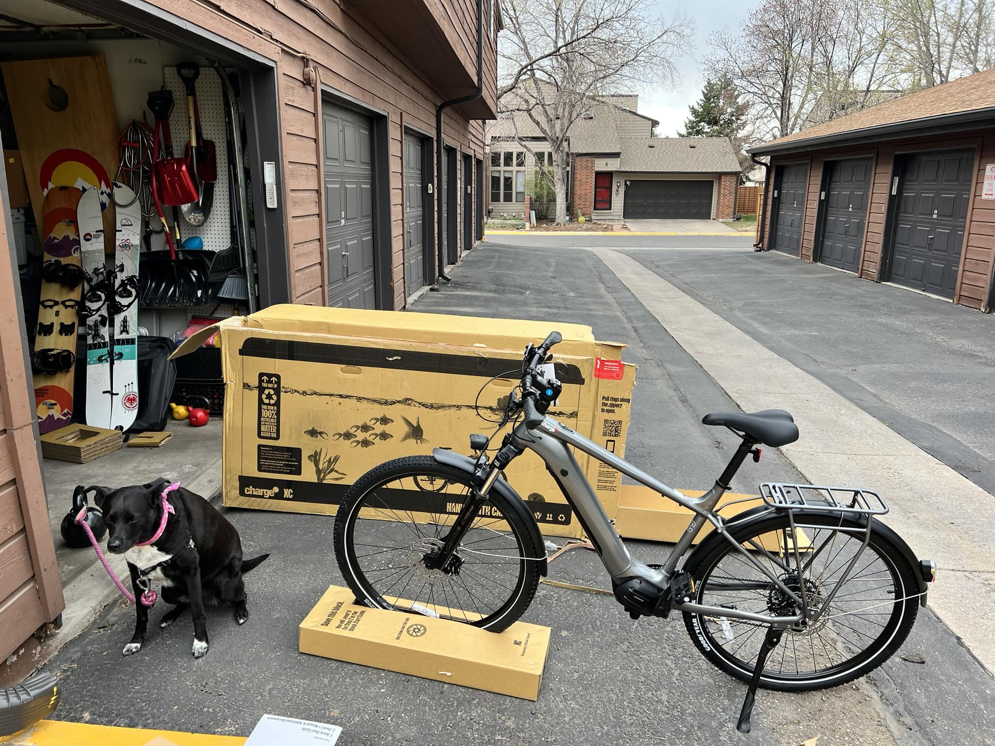 Mission - assemble an e bike and watch the dog. Add a kettlebell to keep her in place. 💪👍