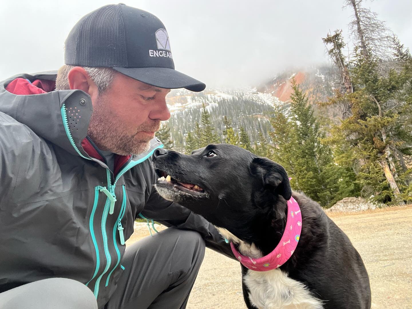 Fun time camping with Chloe and creating a video on &ldquo;how to get a dog into a rooftop tent&rdquo; I get asked this often. So Chloe got to be a star and show other dogs how it is done. Plus, a nice little rain, then snow. 

Video will be up this 