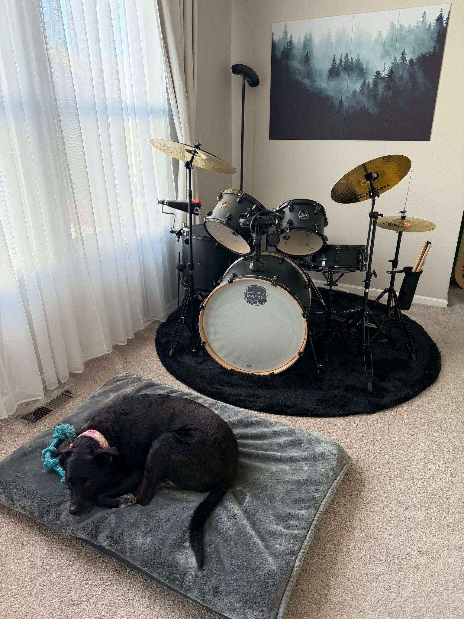 Sunday fun day. 

Started off with setting up for a fun birthday party for 4 friends. 

Then onto rucking at the lake with my girls. 

Then a drum / nap break for Chloe. 

The big thing - dozens of friends showed up on our shared courtyard to celebra