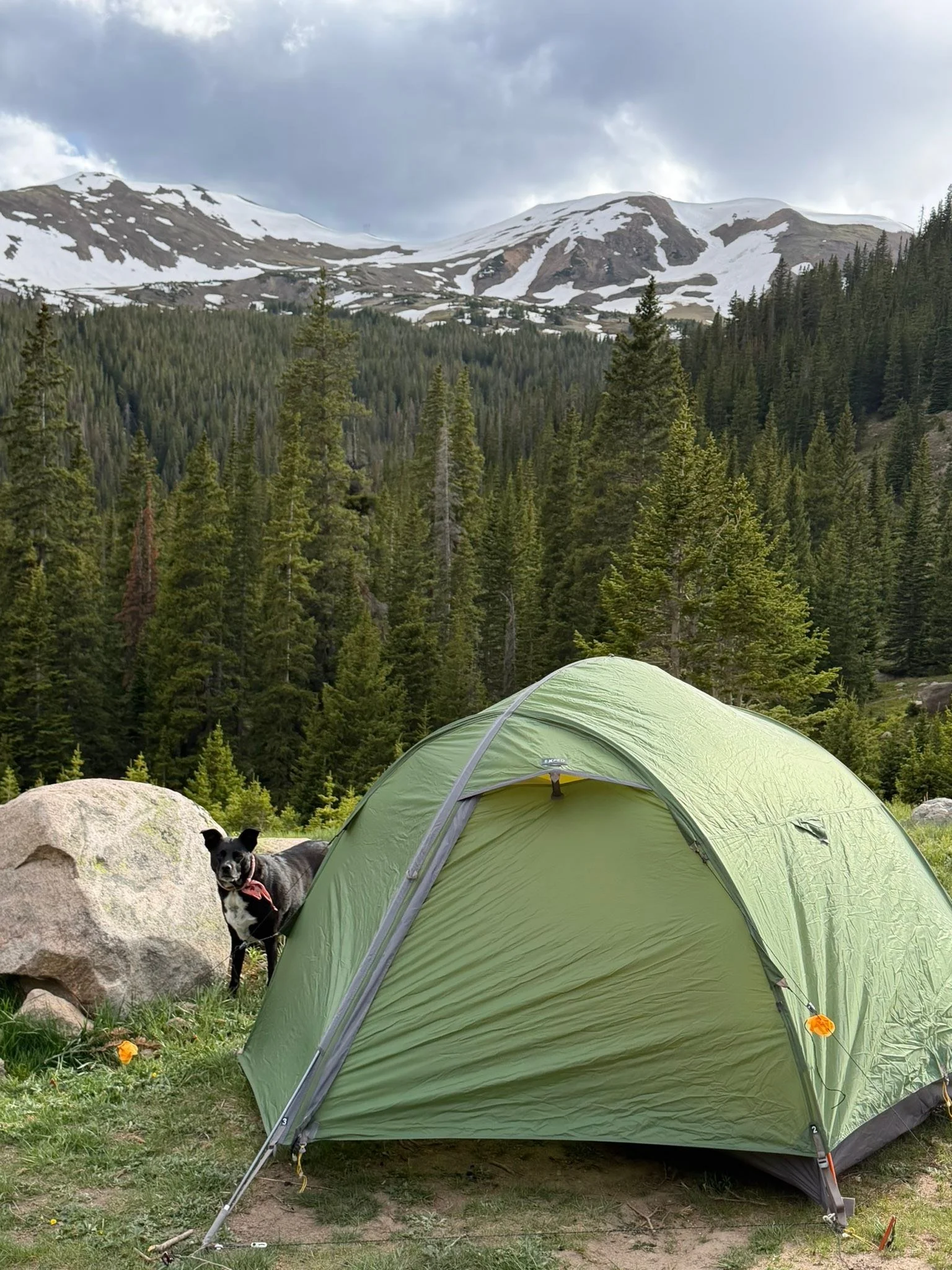 Got Chloe up to tent camp 🏕️