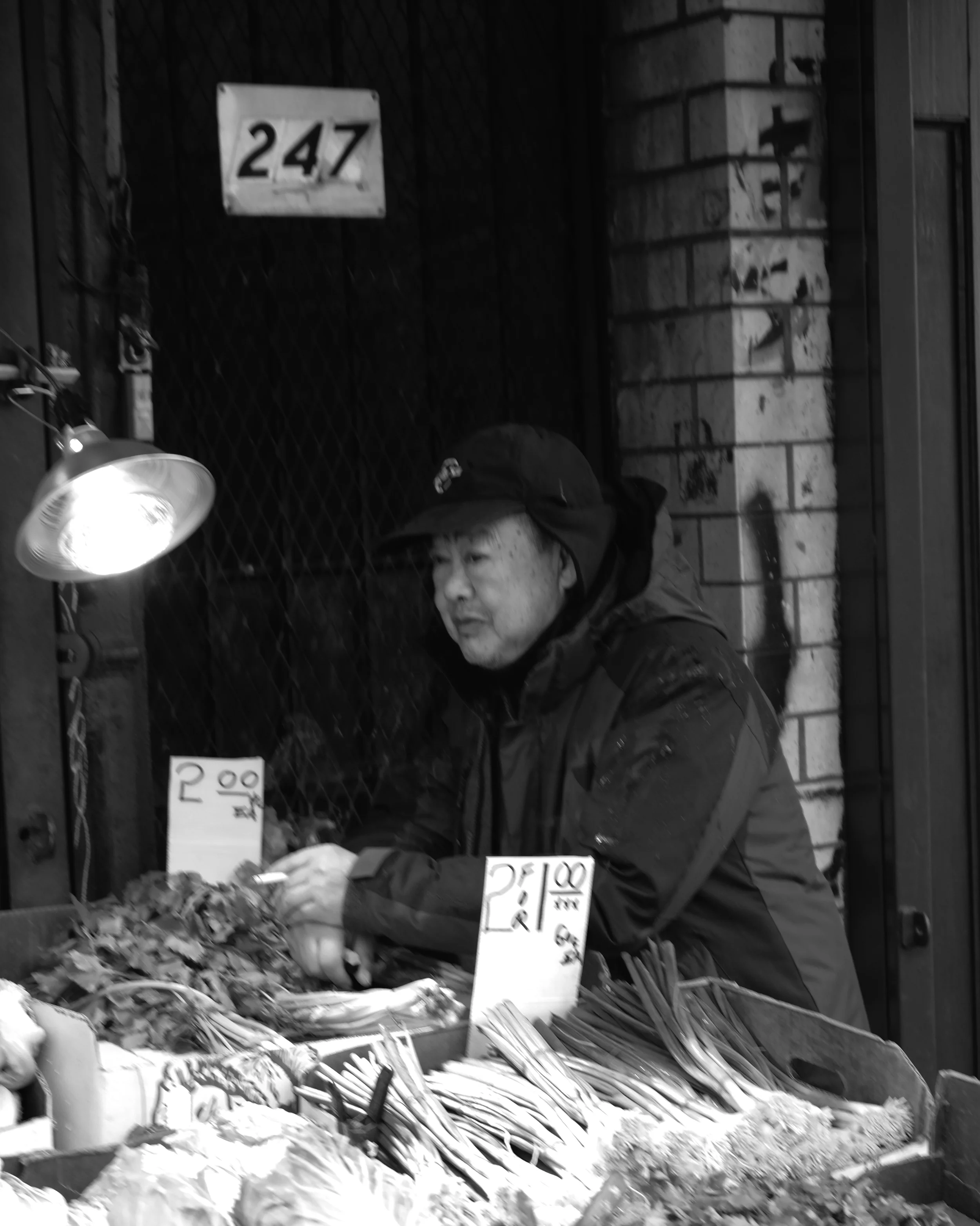 DSCF0741.JPG