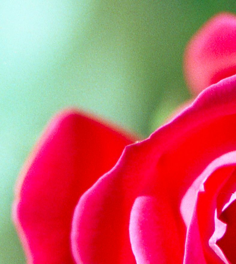 100% Crop - Exposure Index 500 (+2/3)
