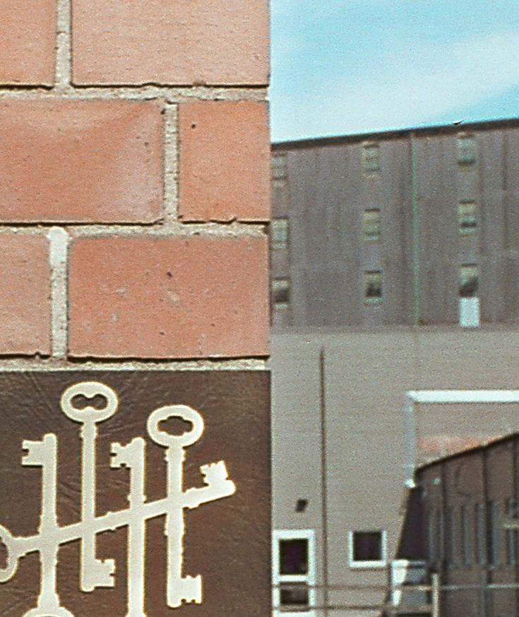 100% Crop of Previous Shot