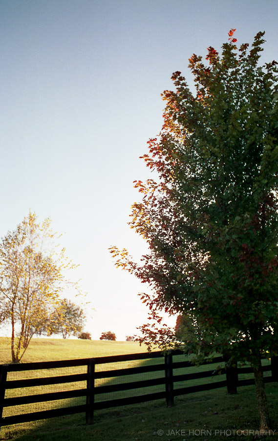 Nikon F | f5.6 | Cinestill 50D