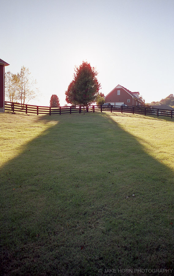 Nikon F | f5.6 | Cinestill 50D