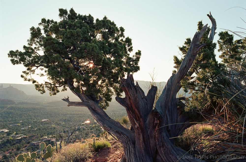 Nikon F6 | f/5.6 | 1/200 sec | Ektar 100 | Handheld