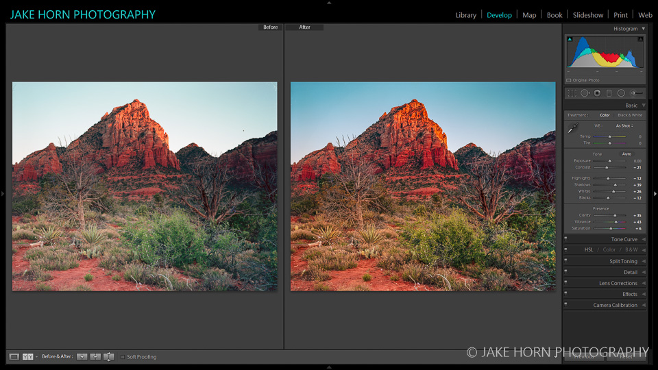 Before & After: Raw Scan from Epson flatbed and preset applied