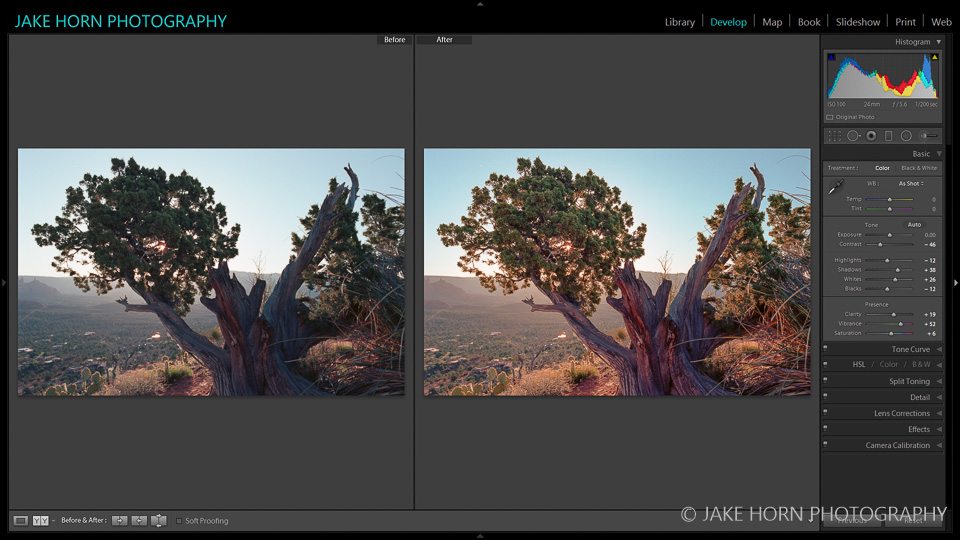 Before & After: Raw Scan and Dawn Rising Preset