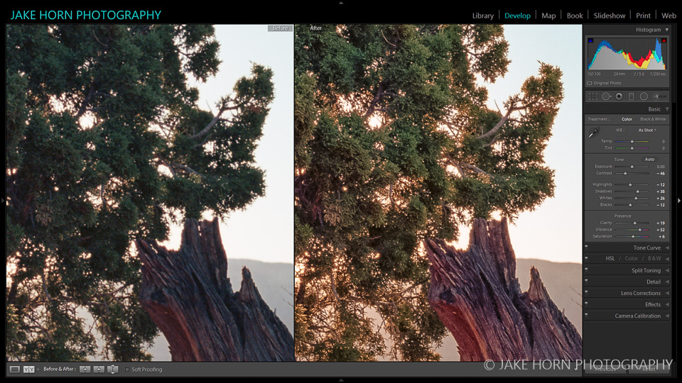 Color and detail looking good, but artifacts from over sharpening present
