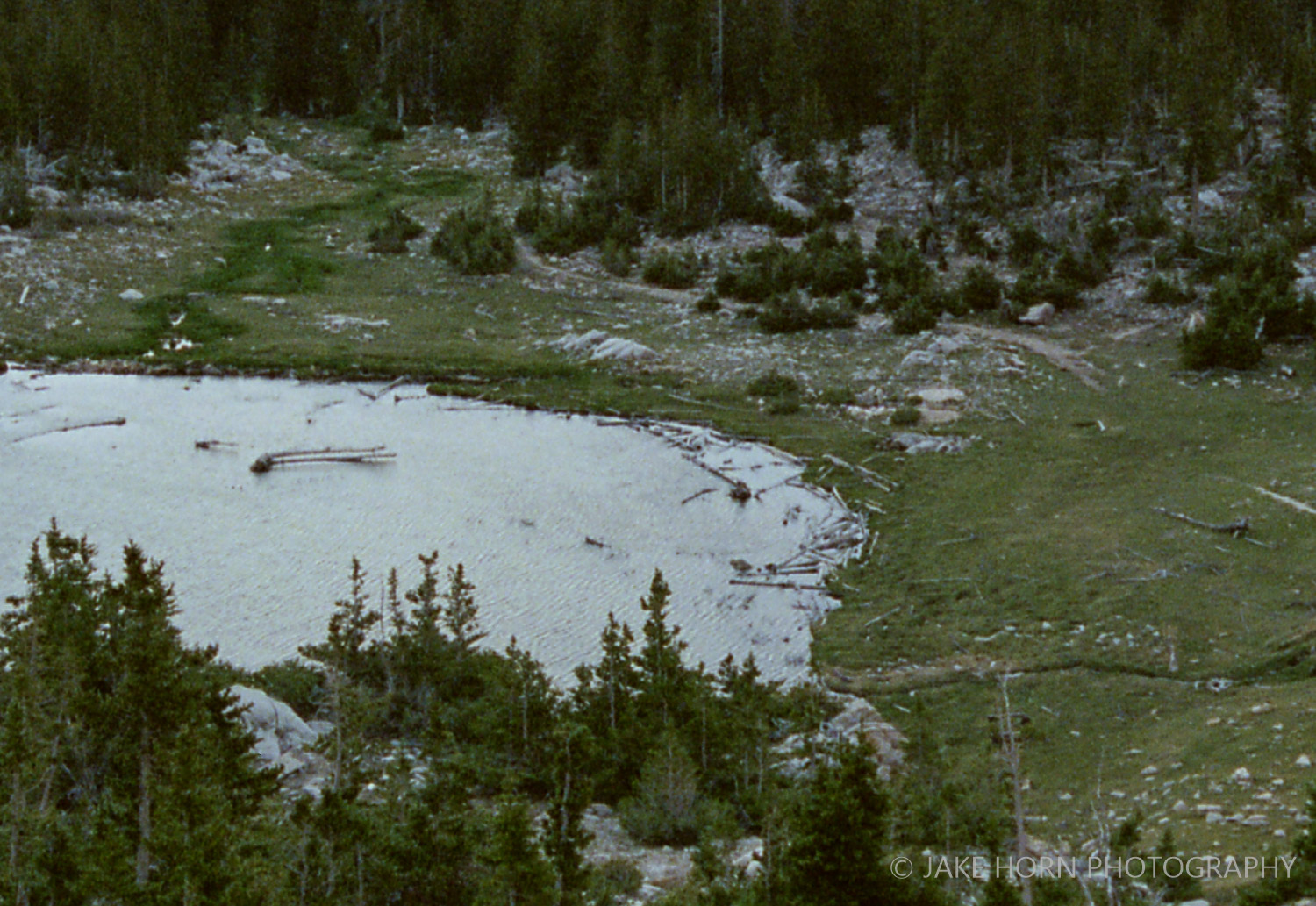 100% Crop On Epson V850 Scan