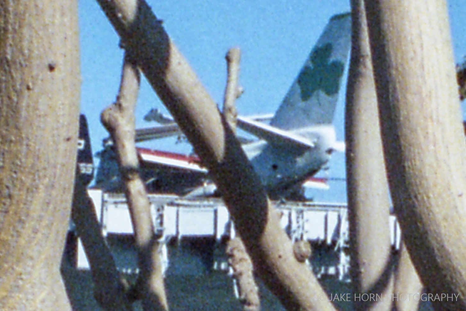 Center Performance at 100% (Center of Tree Shot Below)