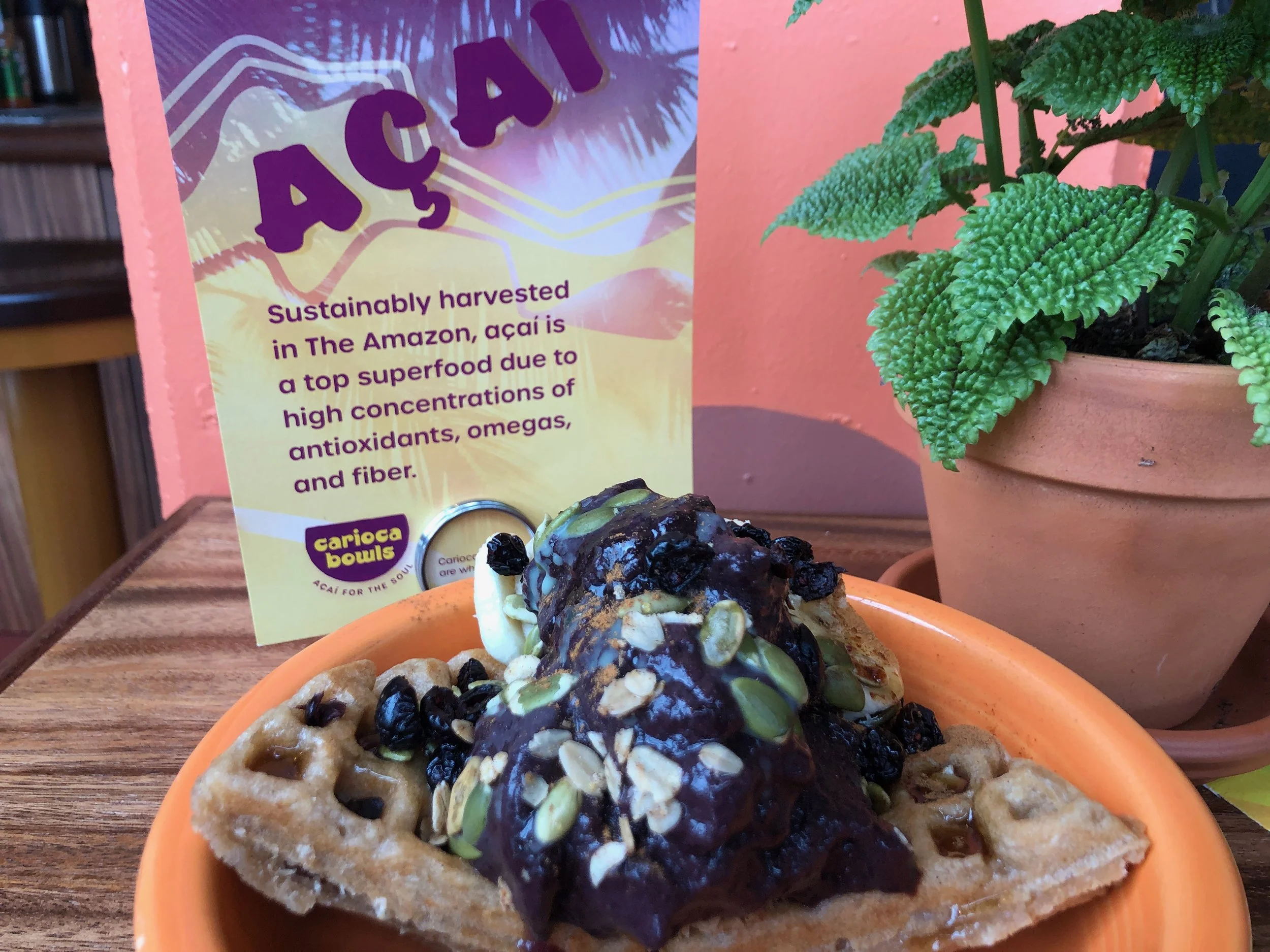 20% Off 2019 Fall Specials